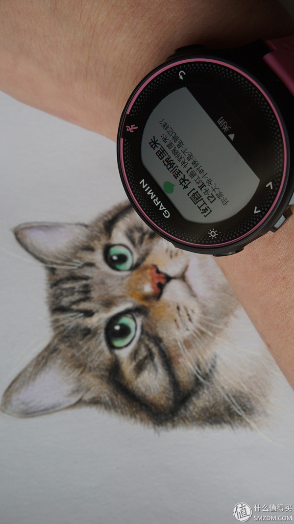 garmin235评测 (garmin235怎么样)