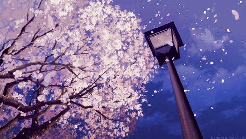 只有学日语的人才懂得痛,只有学日语的人才懂得什么事