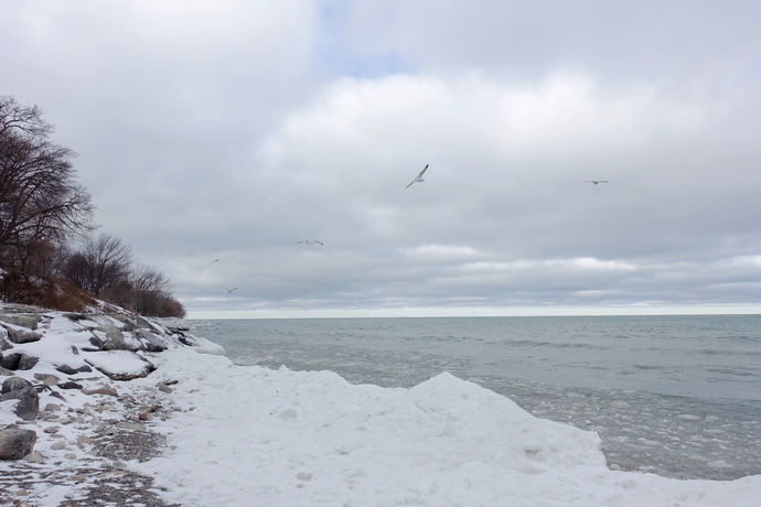 尼亚加拉珍稀冰酒,尼亚加拉冰酒