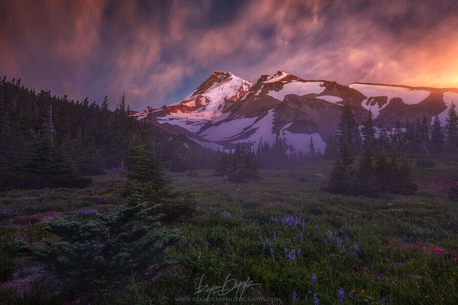 姊︿腑绉樺,姊﹂噷绉樺