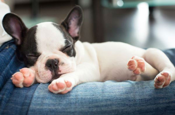 穷小子做生意被老丈人瞧不起,穷小子入职被欺负