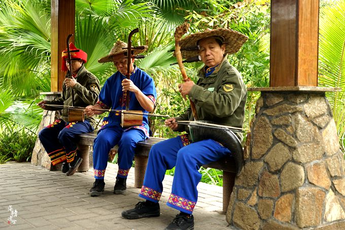 呀诺达，拾起我童年记忆的热带雨林