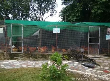 不一样的体验式农家乐,去体验不一样的民族风情