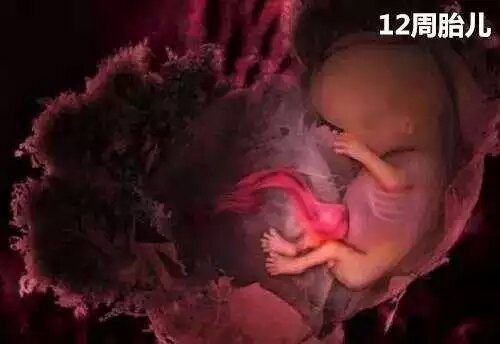 男的会接受女朋友打胎吗,你会建议你的女朋友打胎吗