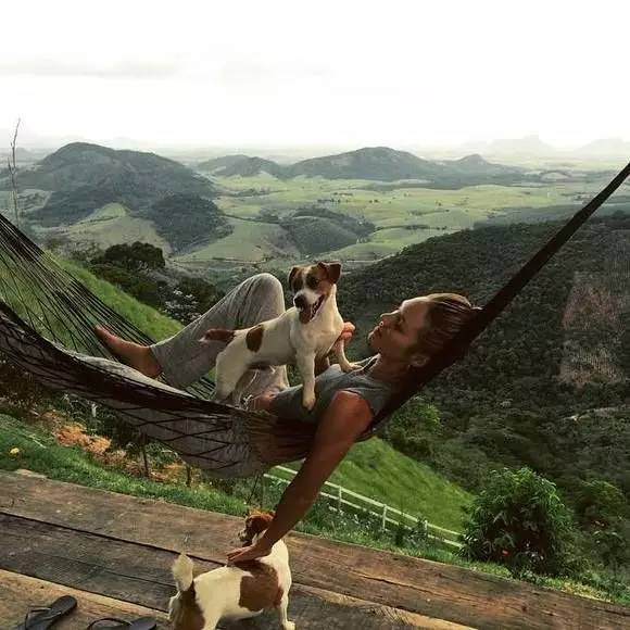 明星为了躲避狗仔都用了哪些绝招,为了躲狗仔的明星有哪些