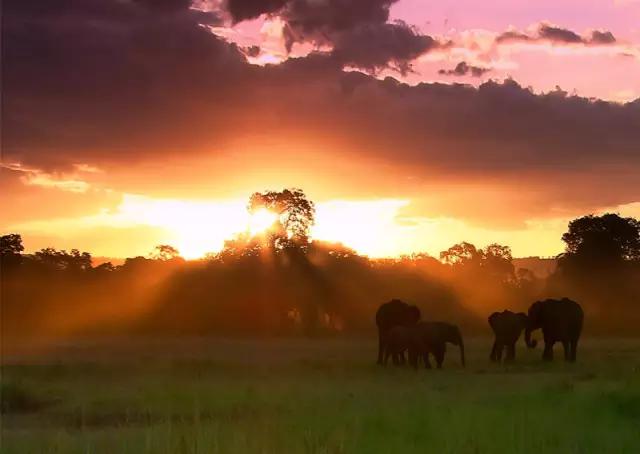 看动物的地方推荐,看动物去哪里的动物园最好