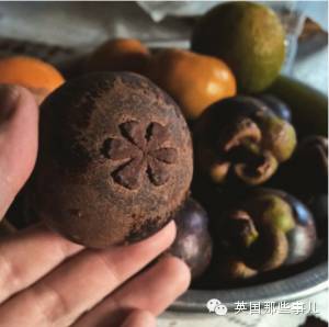 他骑自行车打造出这部横跨亚欧大陆的甜品集... 睡前千万不要点