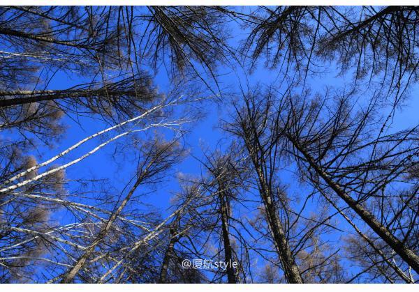 牧马少年歌曲完整版,牧马少年草原