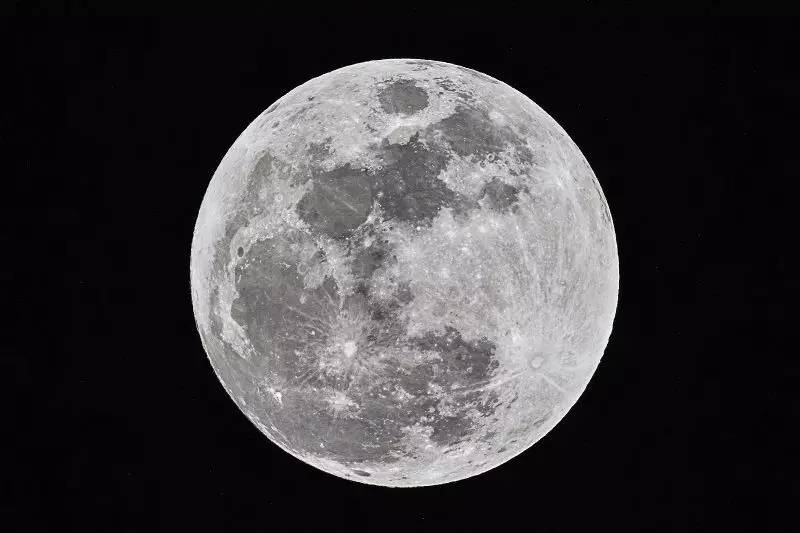 请求大家帮忙支招,求婚的100种方式合集