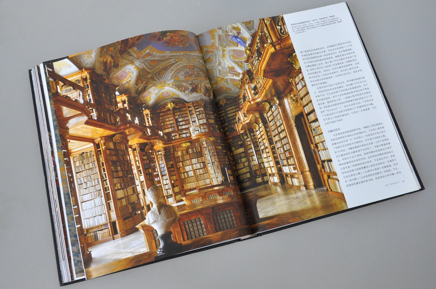 浙江人美出版社直播间,2020浙江文艺出版社新书