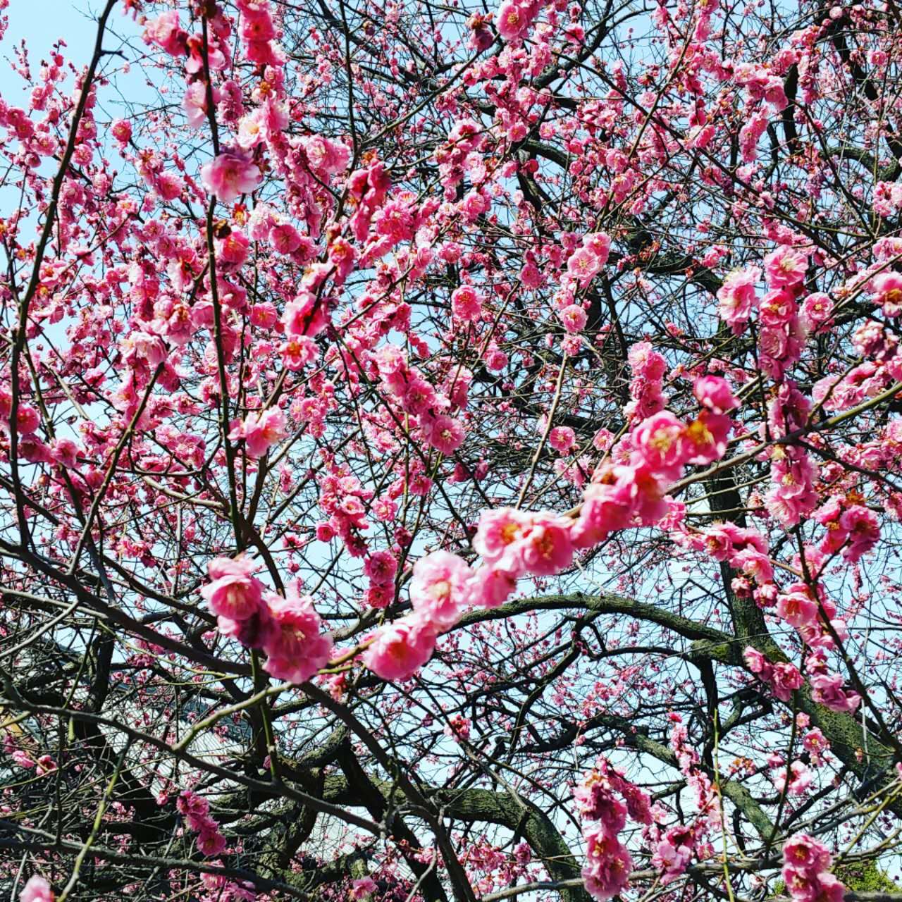 从怀疑自己到相信,从怀疑到自我怀疑