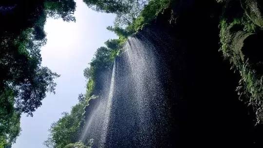 2022免重庆门票景区详细名单公布,重庆免费18个景区