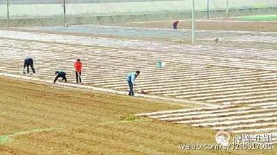 新闻资讯我县春耕春播热火朝天,春耕忙新闻