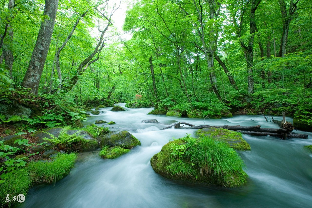 沟通的艺术沟通的四大原则,沟通的艺术学着点