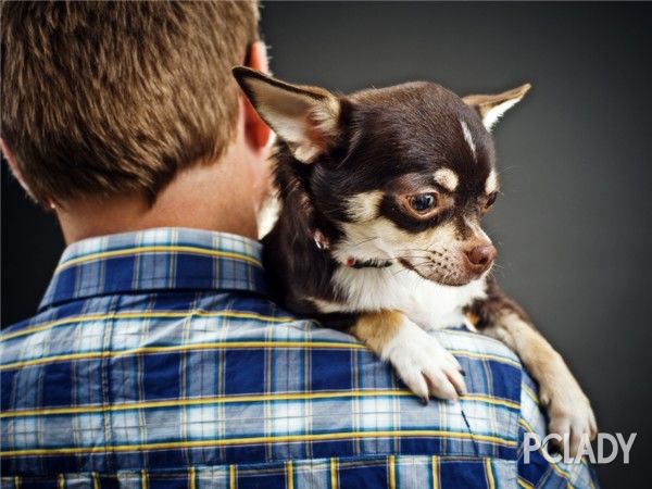 闷骚男的几个行为特点说的真准,闷骚男的五大特征有哪些