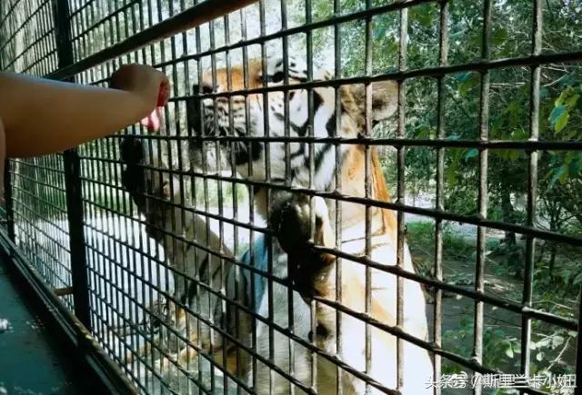 黑龙江十大必游景点推荐,黑龙江最值得去的景点