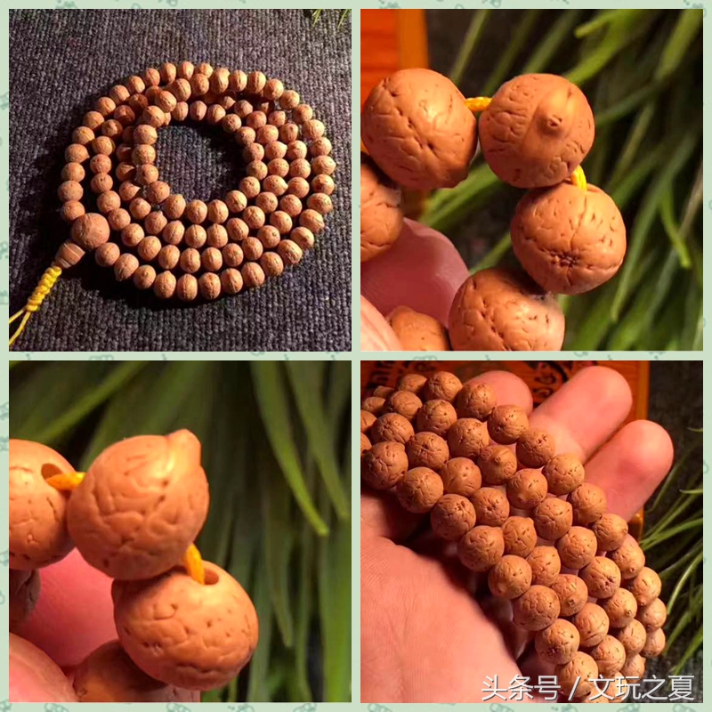 凤眼菩提怎么选最好,老司机揭秘文玩