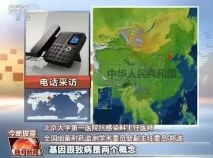 “战菌者”郑波：我就是个“混儿”｜为医生说话不怕被骂