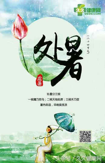 处暑养生吃鸭和鹅的功效一样吗,处暑节气的传统习俗及养生攻略