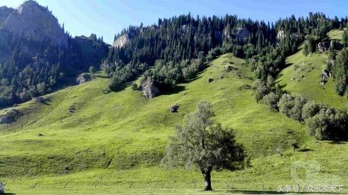 北京自驾新疆伊犁10天最佳路线,北疆大环线10天自驾费用