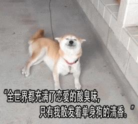 每日小笑话段子,每日小段子大全