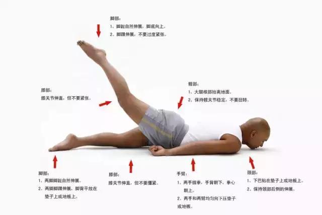 紧致臀线的正确方法,紧致肌肉和提臀的锻炼方法