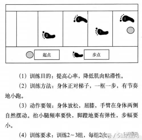 绳梯软梯训练视频,绳梯训练10种方法