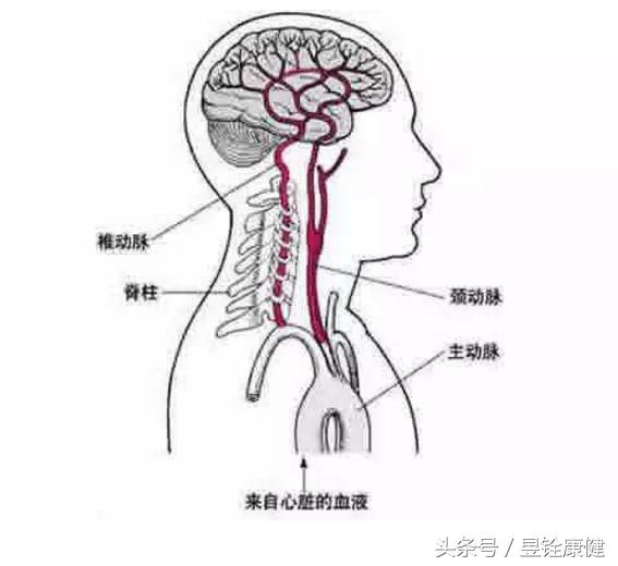颈椎病这些知识您了解吗,颈椎病常见康复治疗方法