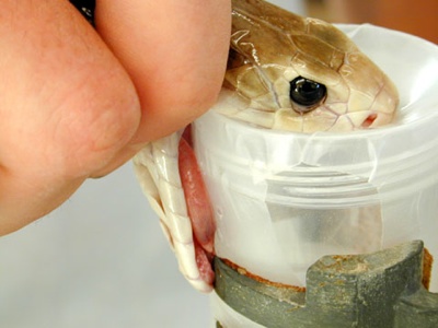 世界十大美容产品排行榜前十名,世界最奇葩美容方式视频