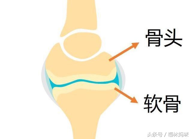 怎样算出孩子未来能长多高,怎么测孩子未来能长多高