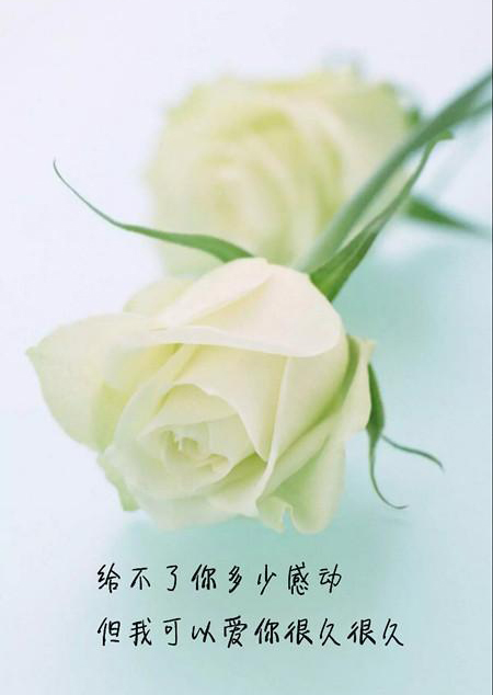 微信的个性签名怎么写才好听,好听的古风网名女及个性签名