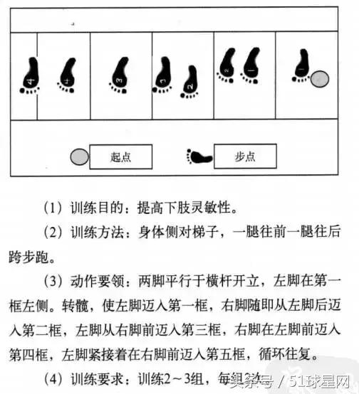绳梯软梯训练视频,绳梯训练10种方法