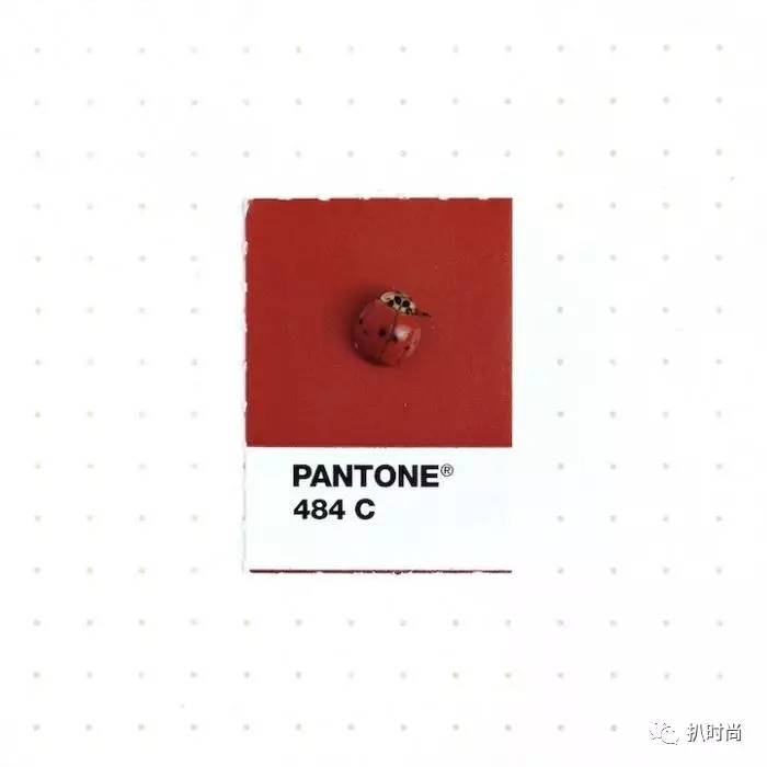 pantone潘通灰色号,pantone潘通色怎么查色值