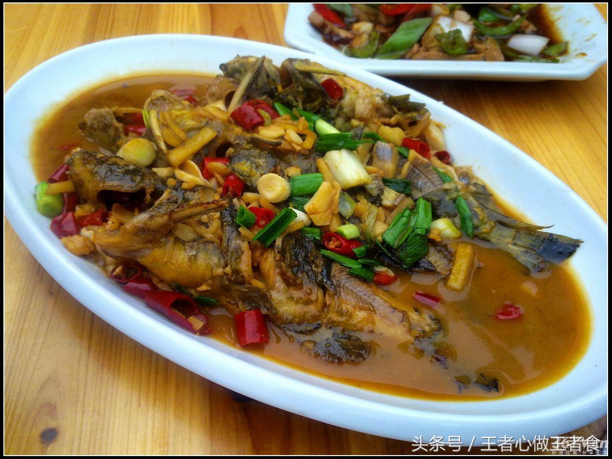 被野生黄刺鱼扎出血了有事吗,身上有刺扎到特别疼的鱼