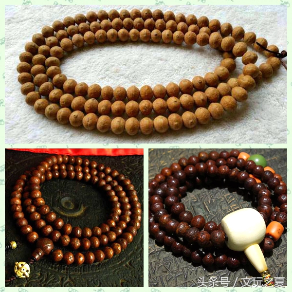 如何选择凤眼菩提,凤眼菩提如何选择