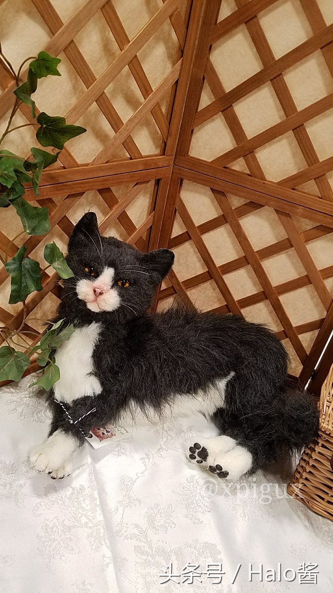 怪物猎人艾露猫孙悟空,怪物猎人艾露猫