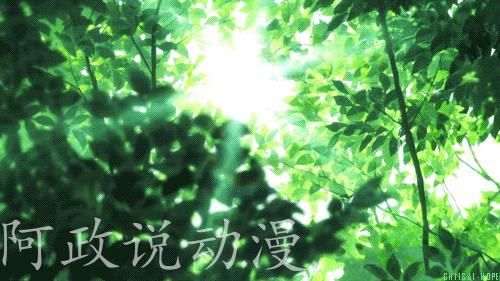 有一部动漫我既想吐槽，又想安利