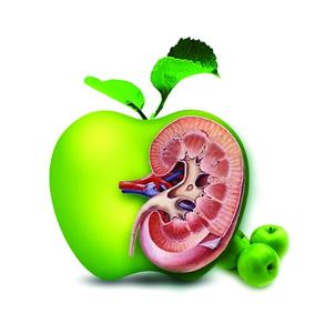 肾病治疗难易程度大排名，你会排第几呢？第一有点惨！