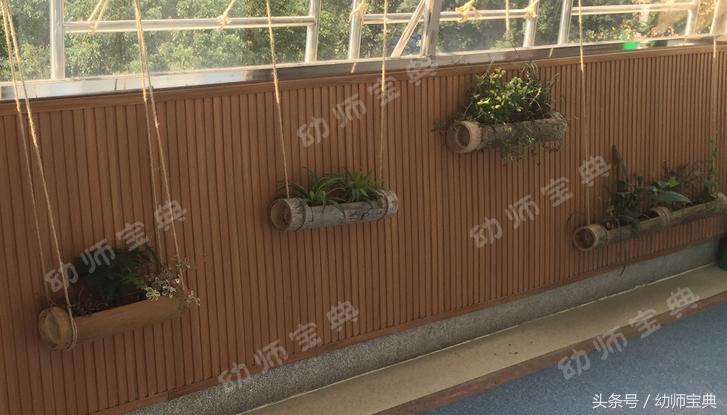 自然角创设分布图,自然角布置幼儿园