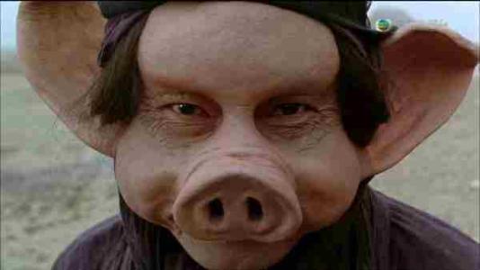 看起来高级又便宜的礼物,七夕节礼物推荐款