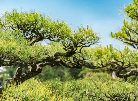 濑户——喜欢你那一抹蓝色光芒（上）