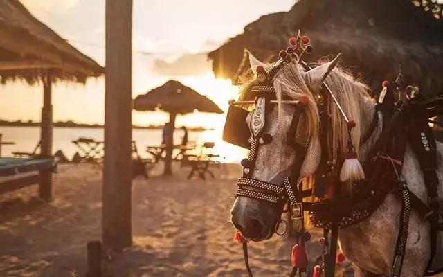 尼康顶级变焦长焦镜头,尼康4800万像素单反