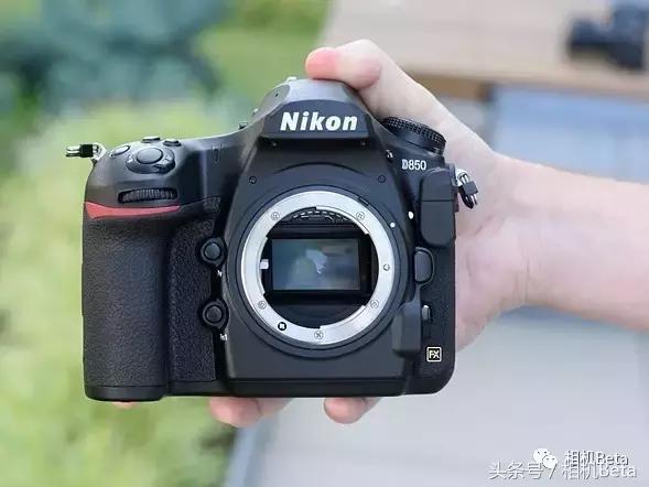 尼康d850打鸟设置,尼康d850测光教程