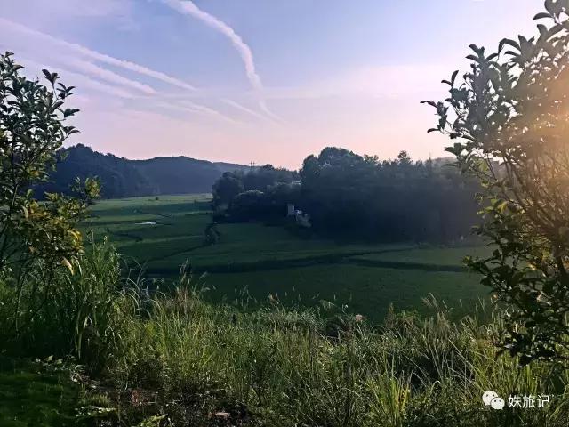 婺源是必须和喜欢的人去的地方吗,婺源相亲成功案例