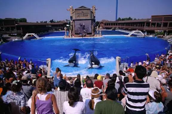 l签可以直接飞香港吗,好消息香港通关