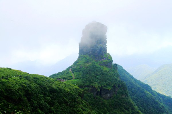 天天有人去山上采蘑菇,每天来观看的游客上万人