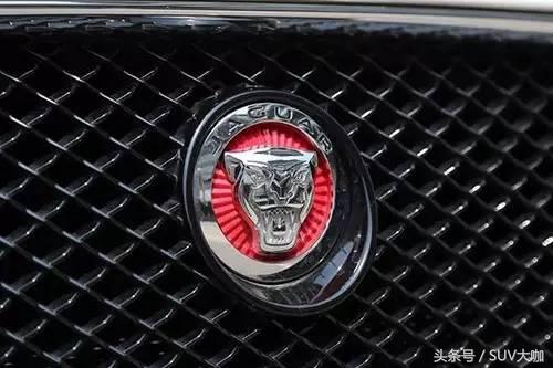 车标代表动物有什么车型,车标是一只奔跑的动物