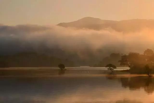 尼康d850点测光技巧,尼康d850价格曲线图