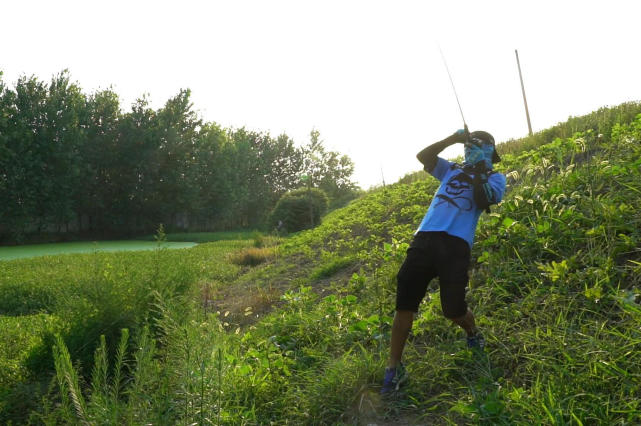 夏天浮萍草塘怎么钓黑鱼,雨天泥鳅钓黑鱼技巧和方法