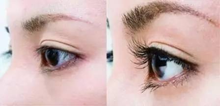 侧颜美需要哪些标准,怎样看侧颜美不美